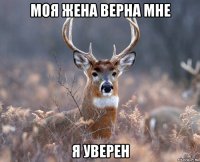 моя жена верна мне я уверен