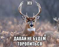 ну давай не будем торопиться