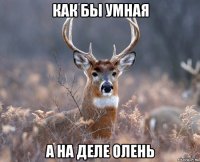 как бы умная а на деле ОЛЕНЬ