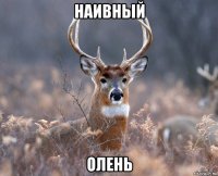 наивный олень