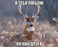 Я тебя люблю но как друга