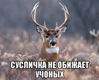  сусличка не обижает учоных