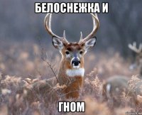 белоснежка и гном