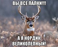 вы все лалки!!! а я нордик великолепный!