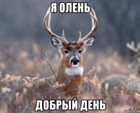 я олень добрый день