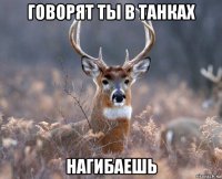 говорят ты в танках нагибаешь