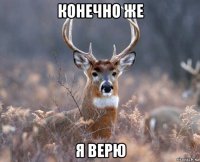 конечно же я верю