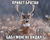 привет братан бабу мою не видал?