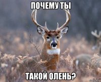 почему ты такой олень?