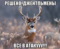 решено, джентльмены все в атакууу!!!