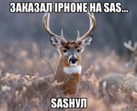 заказал iphone на sas... sasнул