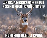 дружба между мужчиной и женщиной ! существует? конечно нет!!...( сука)