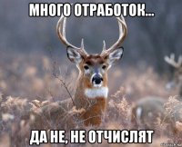 много отработок... да не, не отчислят