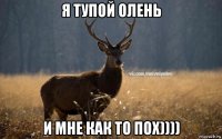 я тупой олень и мне как то пох))))