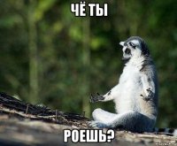 чё ты роешь?