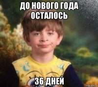 до нового года осталось 36 дней