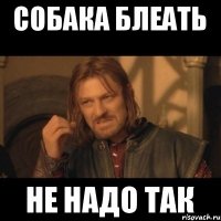 собака блеать не надо так