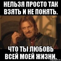 нельзя просто так взять и не понять. что ты любовь всей моей жизни.