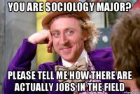 you are sociology major? please tell me how there are actually jobs in the field