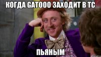 Когда Gatooo заходит в тс пьяным