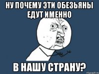 Ну почему эти обезьяны едут именно в нашу страну?