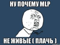 ну почему mlp НЕ ЖИВЫЕ ( ПЛАЧЬ )