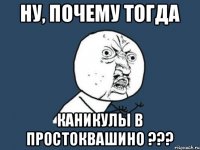 ну, почему тогда каникулы в простоквашино ???