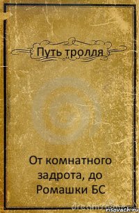 Путь тролля От комнатного задрота, до Ромашки БС