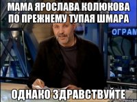 мама Ярослава Колюкова по прежнему тупая шмара однако здравствуйте