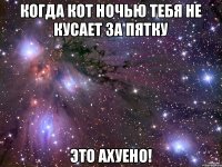 когда кот ночью тебя не кусает за пятку это ахуено!