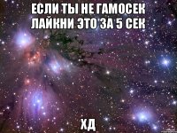 Если ты не гамосек лайкни это за 5 сек ХД