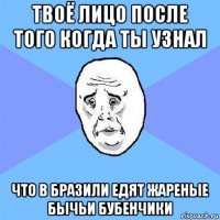 твоё лицо после того когда ты узнал что в Бразили едят жареные бычьи бубенчики