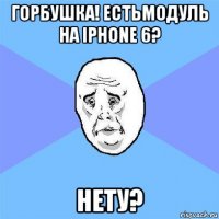 горбушка! естьмодуль на iphone 6? нету?