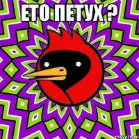 Ето петух ? 