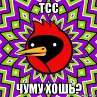 тсс чуму хошь?