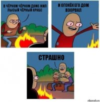 в чёрном чёрном доме жил лысый чёрный крабс и огонёк его дом взорвал страшно