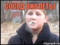 Сосед Виолеты 