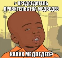 > председатель правительства медведев каких медведев?