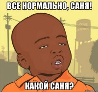 все нормально, саня! какой саня?