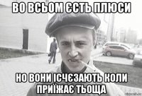 Во всьом єсть плюси Но вони ісчєзають коли приїжає тьоща