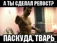 а ты сделал репост? паскуда, тварь