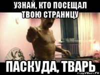 узнай, кто посещал твою страницу паскуда, тварь