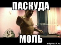 паскуда моль