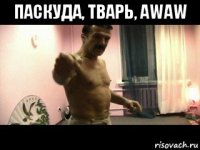 паскуда, тварь, awaw 