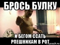 брось булку и бегом ссать рпешникам в рот