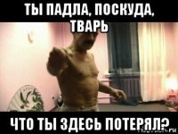 ты падла, поскуда, тварь что ты здесь потерял?