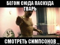 бегом сюда паскуда тварь смотреть симпсонов