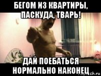 бегом из квартиры, паскуда, тварь! дай поебаться нормально наконец