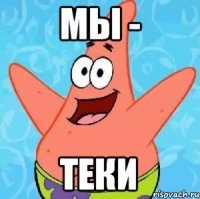 МЫ - ТЕКИ