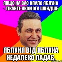 Якщо на вас впало яблуко - тiкайте якомога швидше яблуня від яблука недалеко падає.